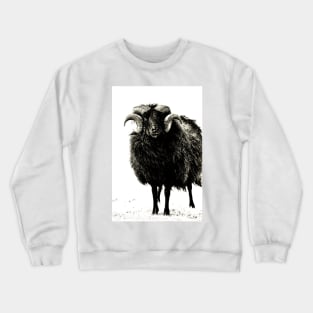 Black Ram Crewneck Sweatshirt